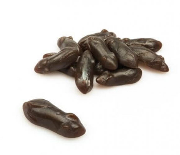 FrisiaSaltyMice